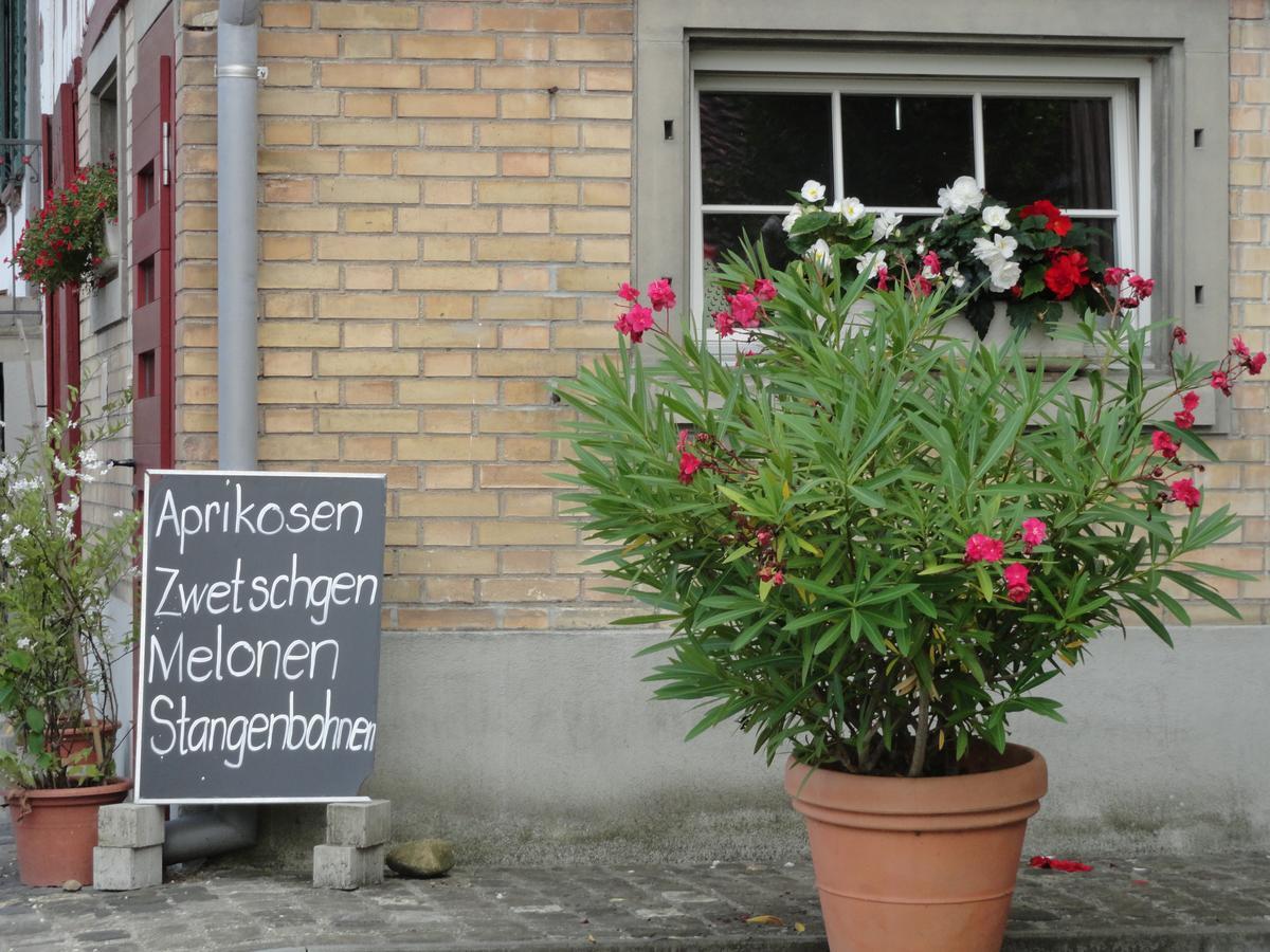 Bed And Breakfast Wegmann Andelfingen Εξωτερικό φωτογραφία