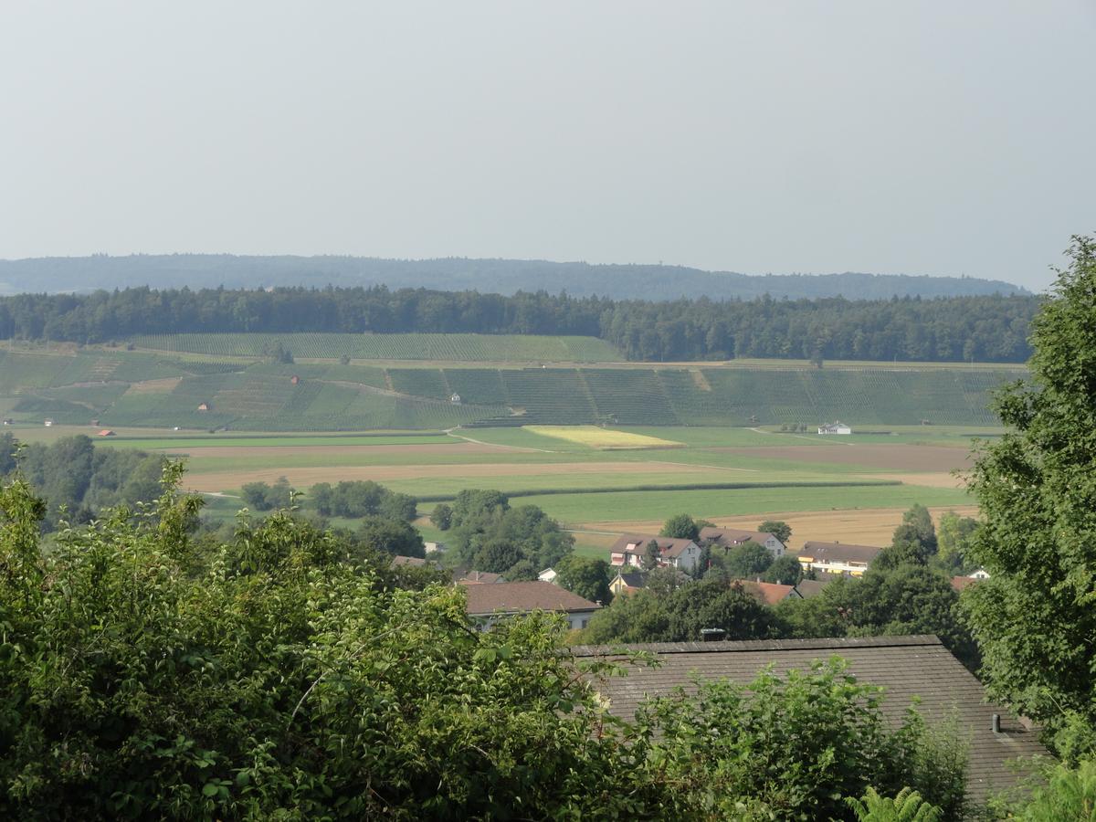 Bed And Breakfast Wegmann Andelfingen Εξωτερικό φωτογραφία